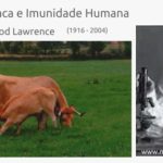 Colostro de Vaca e Imunidade Humana - Dr H Sherwood Lawrence