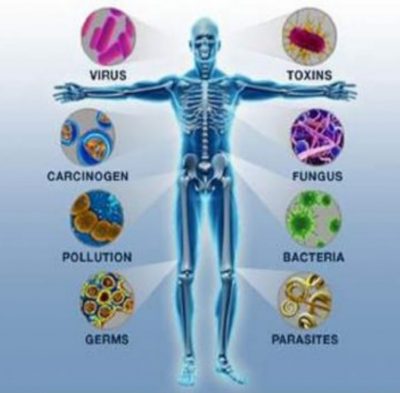 Sistema Imunitário - Defesa contra virús, bactérias, toxinas, células cancerigenas
