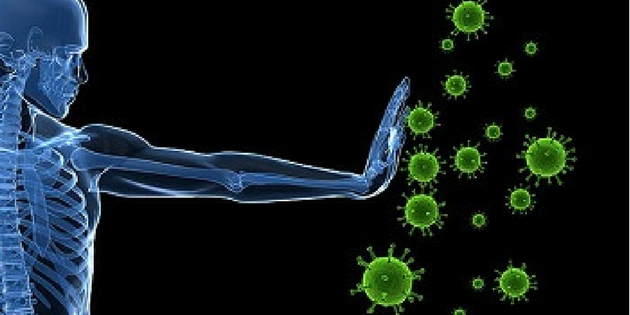 Sistema Imunitário - exercito de desfesa contra virús, bactérias, fungos, toxinas, cancerigenosesa